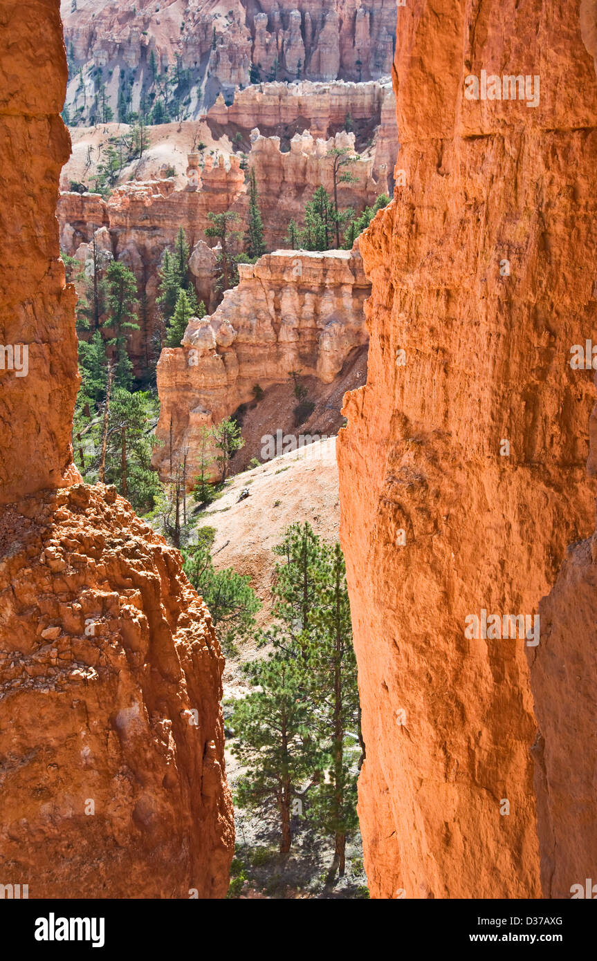 Les cheminées à Bryce Canyon National Park, Utah, USA Banque D'Images