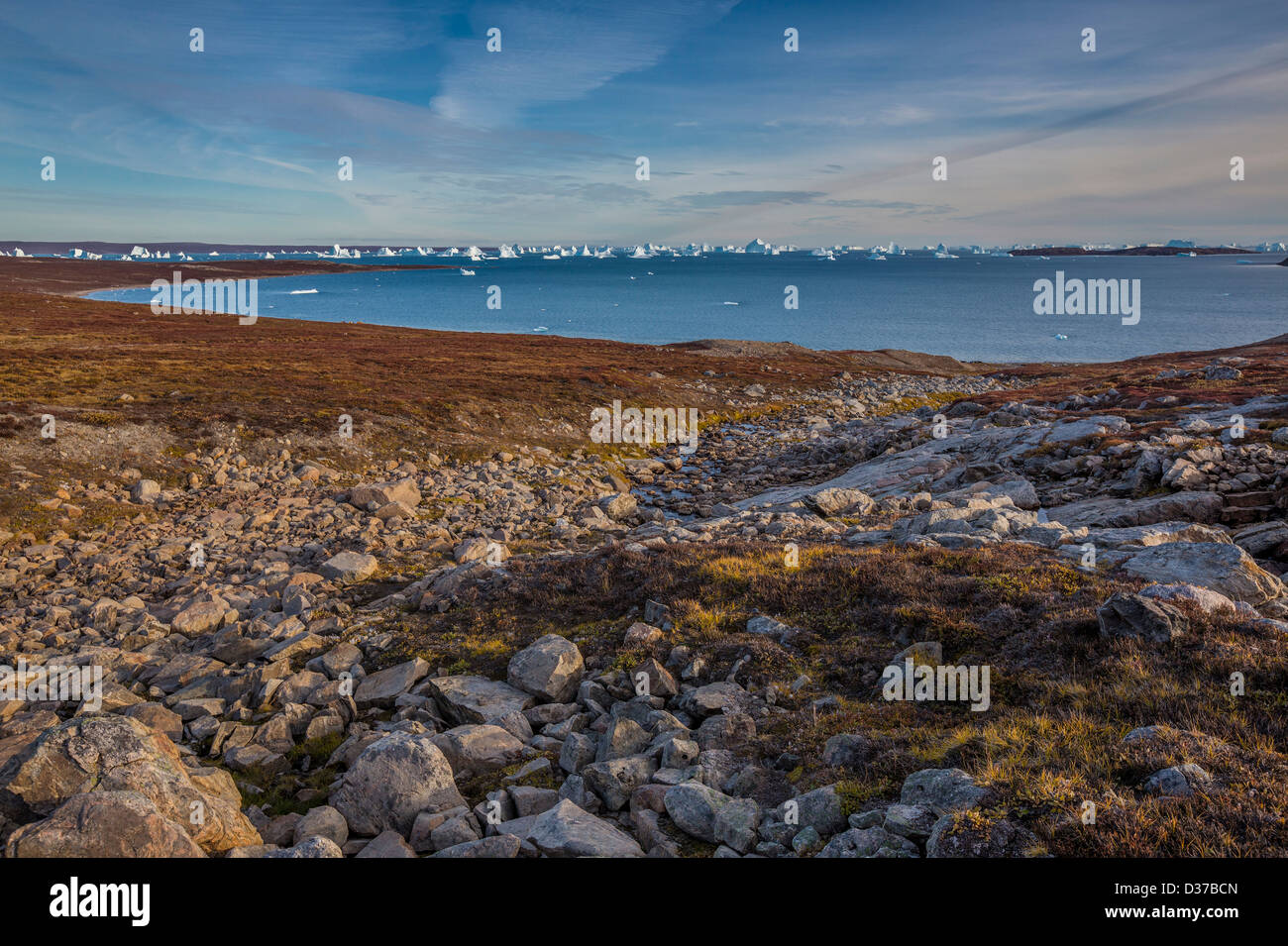 L'automne paysage de toundra, Scoresbysund, Groenland Banque D'Images