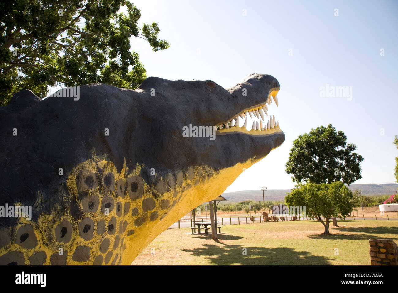 C'est croc à pleines dents dans un parc à l'entrée de Wyndham, à l'Est de la région de Kimberley, en Australie occidentale. Banque D'Images