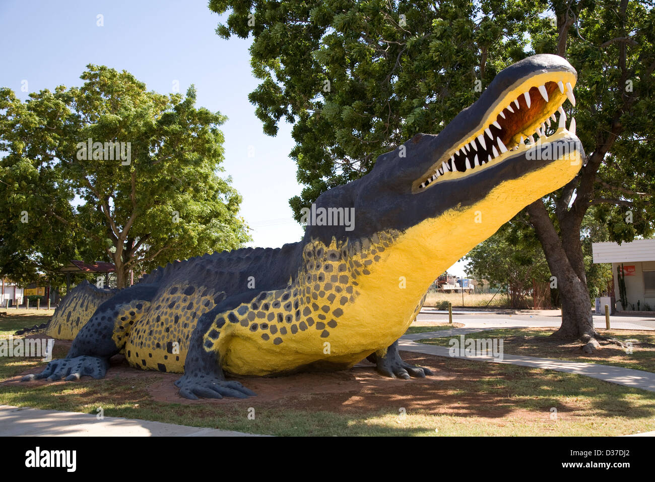 C'est croc à pleines dents dans un parc à l'entrée de Wyndham, à l'Est de la région de Kimberley, en Australie occidentale. Banque D'Images