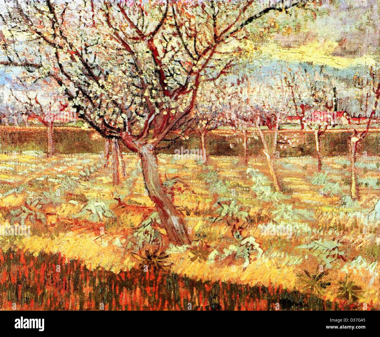 Vincent van Gogh, abricotiers en fleurs. 1888. Le postimpressionnisme. Huile sur toile. Lieu de création : Arles-Dur-Tech, France. Banque D'Images