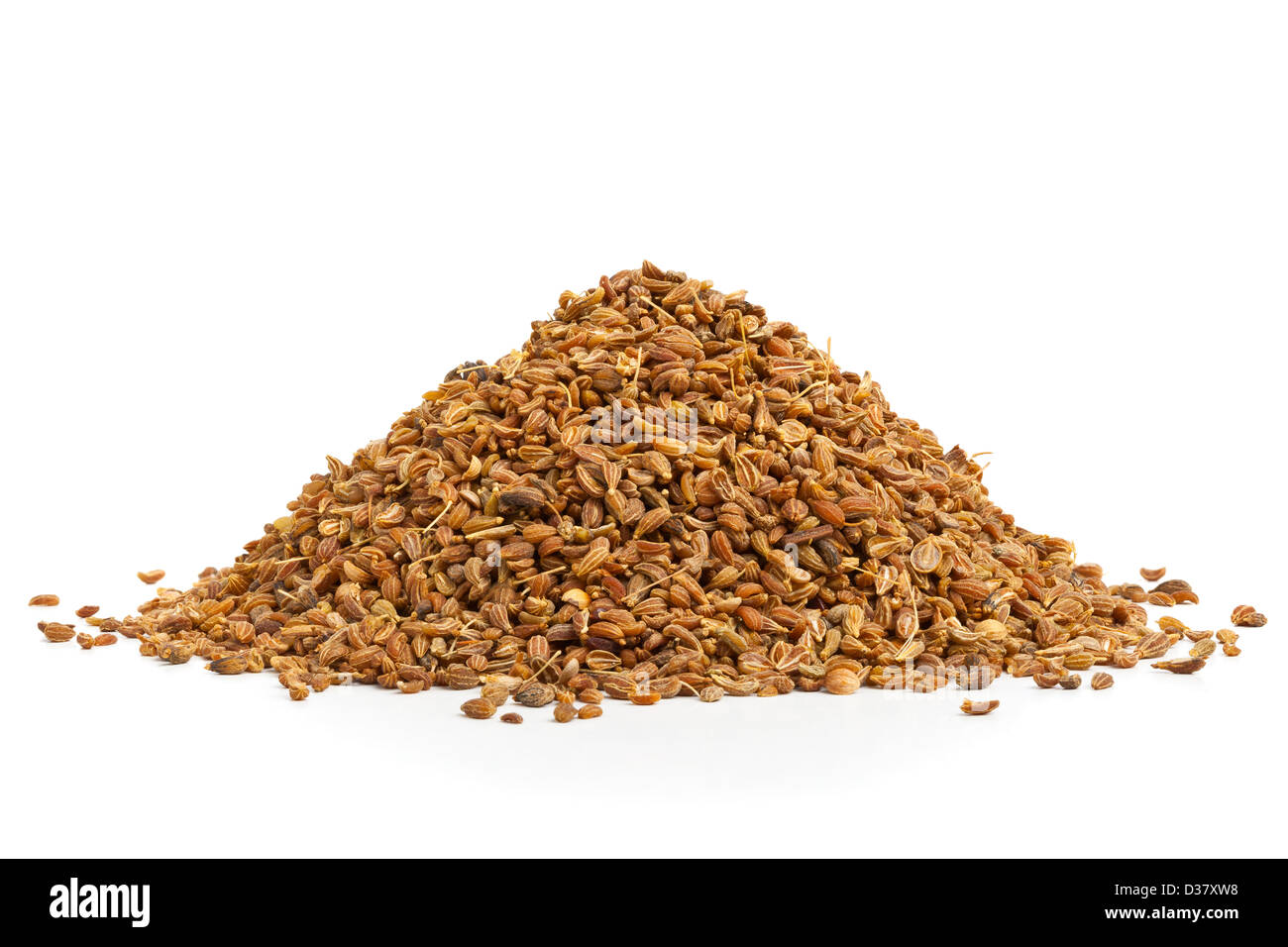 Tas de graines séchées sur fond blanc Banque D'Images