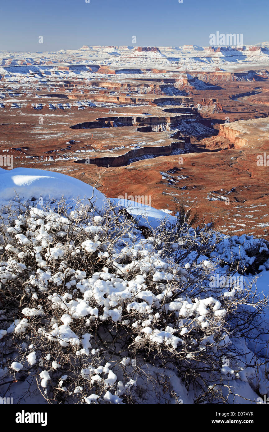 Buttes, canyons et mesas couvertes de neige, donnent sur la rivière Verte. Dans le ciel de l'île, District Canyonlands National Park, Utah USA Banque D'Images