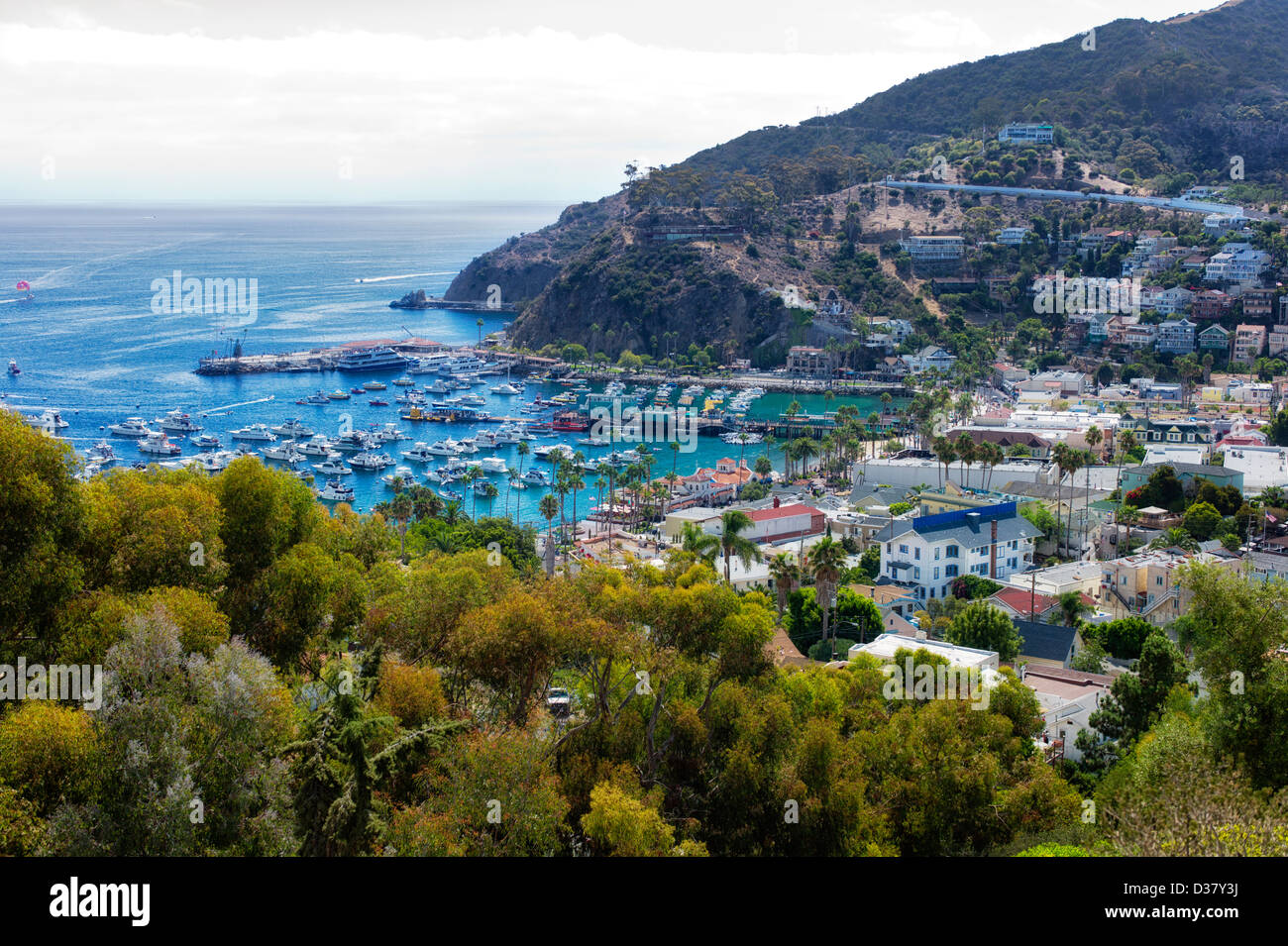 Bateaux dans le port de Catalina. Catalina Island, en Californie Banque D'Images