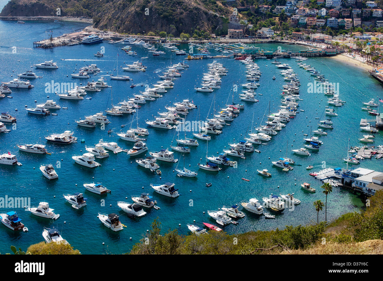Bateaux dans le port de Catalina. Catalina Island, en Californie Banque D'Images