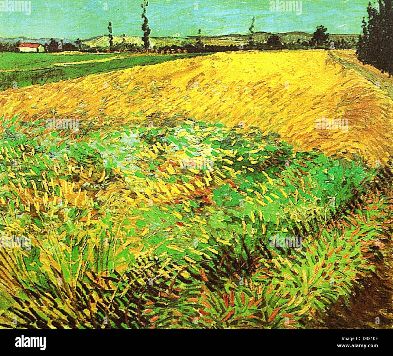 Vincent van Gogh, Champ de blé avec les contreforts des Alpilles dans l'arrière-plan. 1888. Le postimpressionnisme. Huile sur toile. Banque D'Images