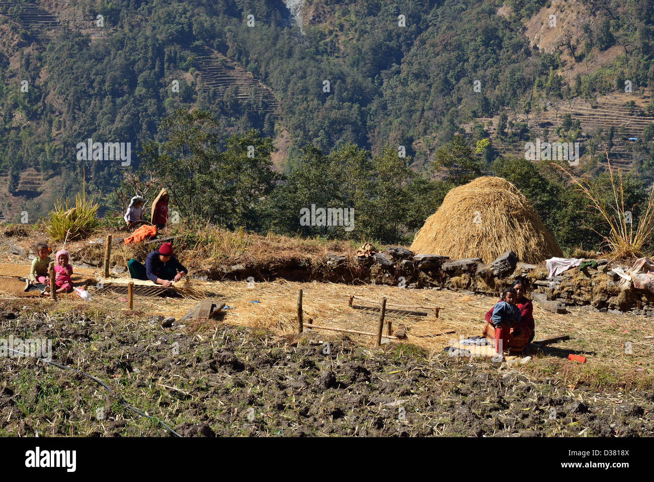 La famille paysanne riz tissage tapis dans la région de l'Annapurna au Népal. Banque D'Images