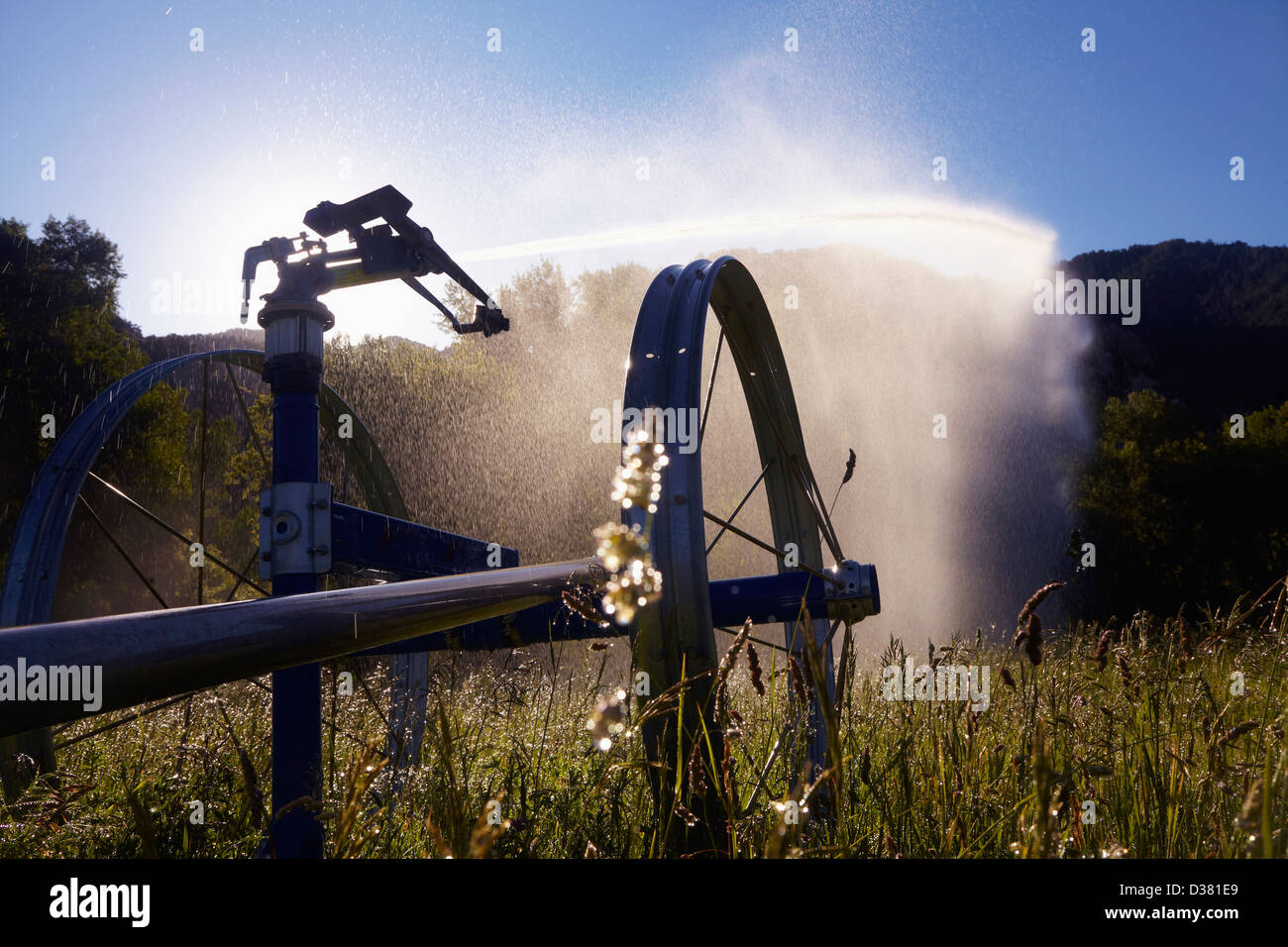 USA, Colorado, sprinkleur sur terrain agricole Banque D'Images