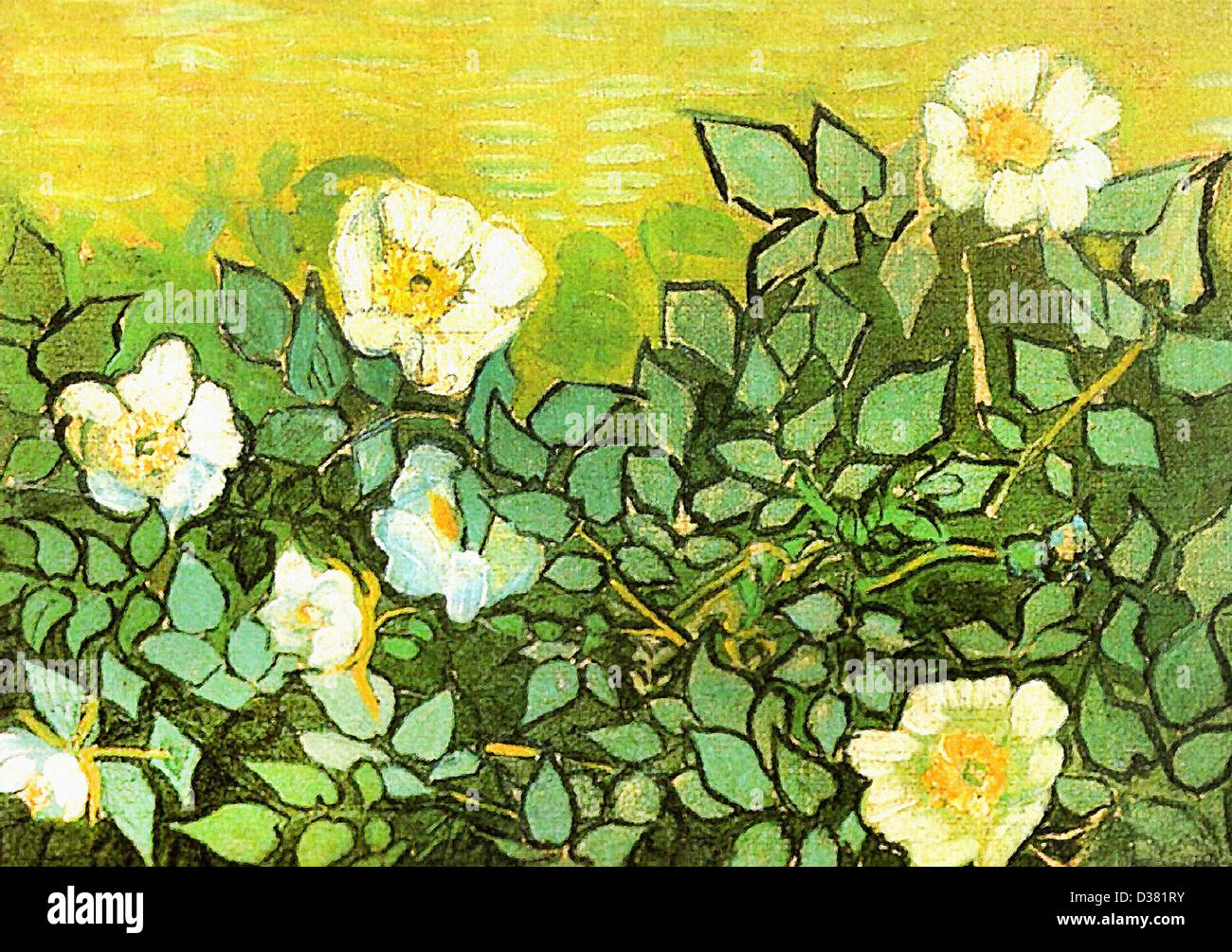 Vincent van Gogh, roses sauvages. 1890. Le postimpressionnisme. Huile sur toile. Van Gogh Museum, Amsterdam, Pays-Bas. Banque D'Images