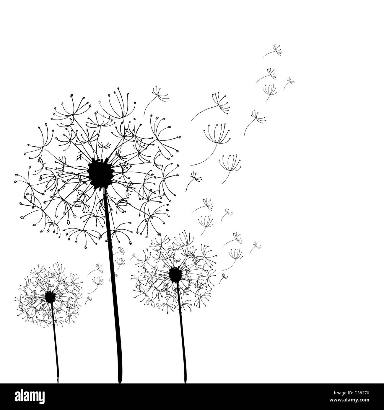 Pissenlit dessiné à la main sur fond blanc isolé. Couches de fichier vectoriel pour une manipulation facile et coloris. Banque D'Images