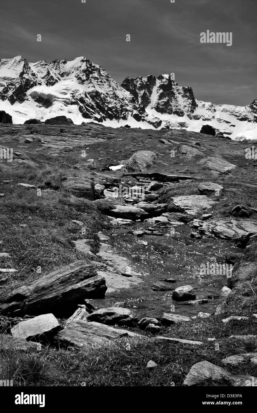 Creek qui coule dans la prairie alpine, Gran Paradiso National Park, Graian Alps, Italie ( noir et blanc ) Banque D'Images