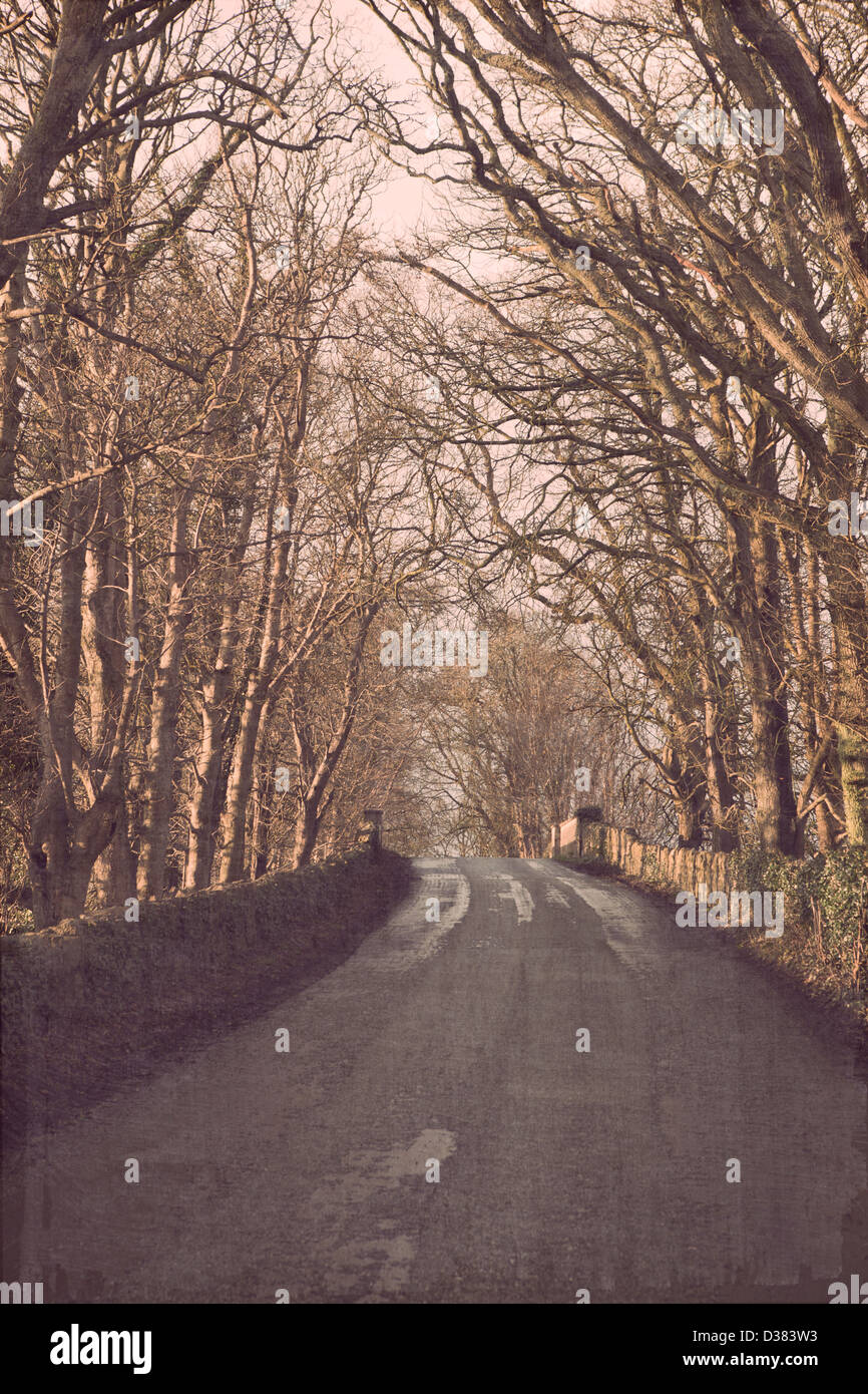 Une vieille route à Celbridge, en hiver avec la texture du papier. Banque D'Images