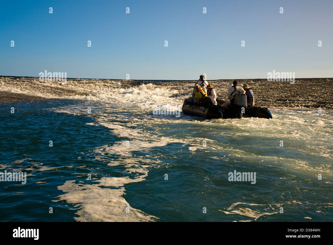 La sonde Zodiacs Montgomery Reef, le plus grand système de récifs côtiers, Collier Bay, région de Kimberley, en Australie occidentale. Banque D'Images