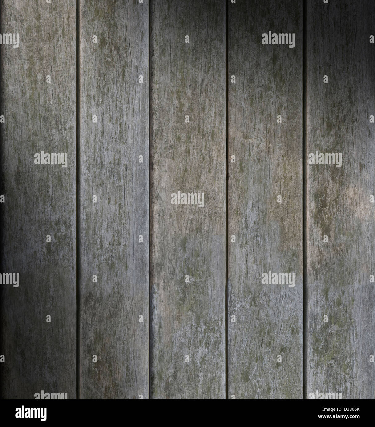 Patiné gris bois vertical texture background allumé en diagonale Banque D'Images