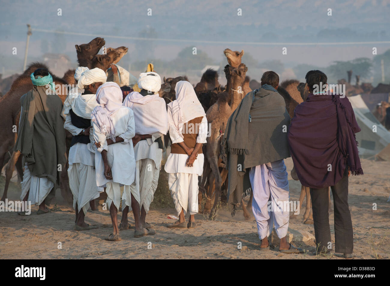 L'homme indien look camel Banque D'Images