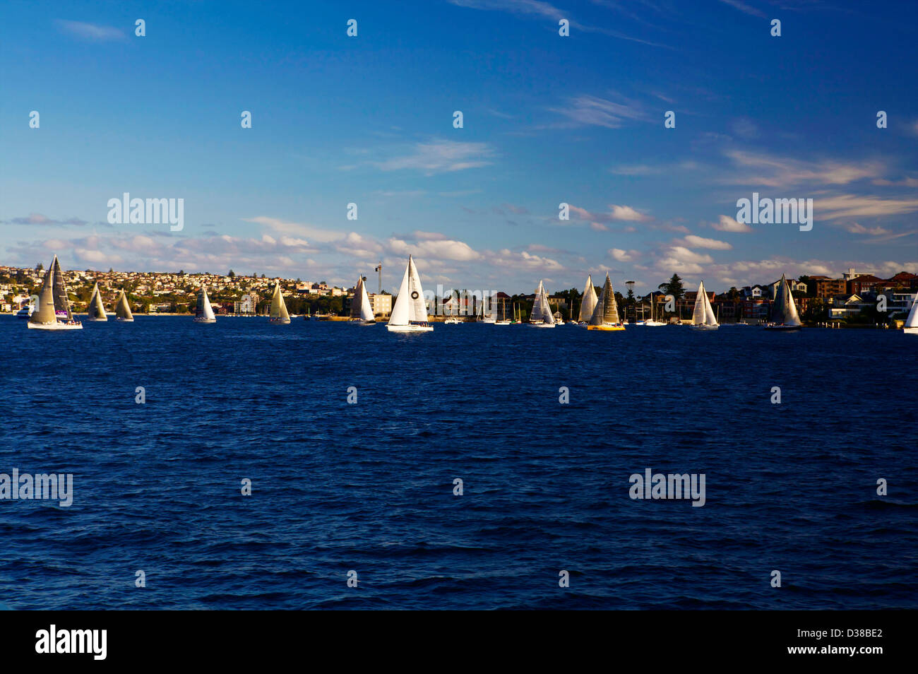 Yachts à voile dans le port de Sydney, NSW, Australie Banque D'Images