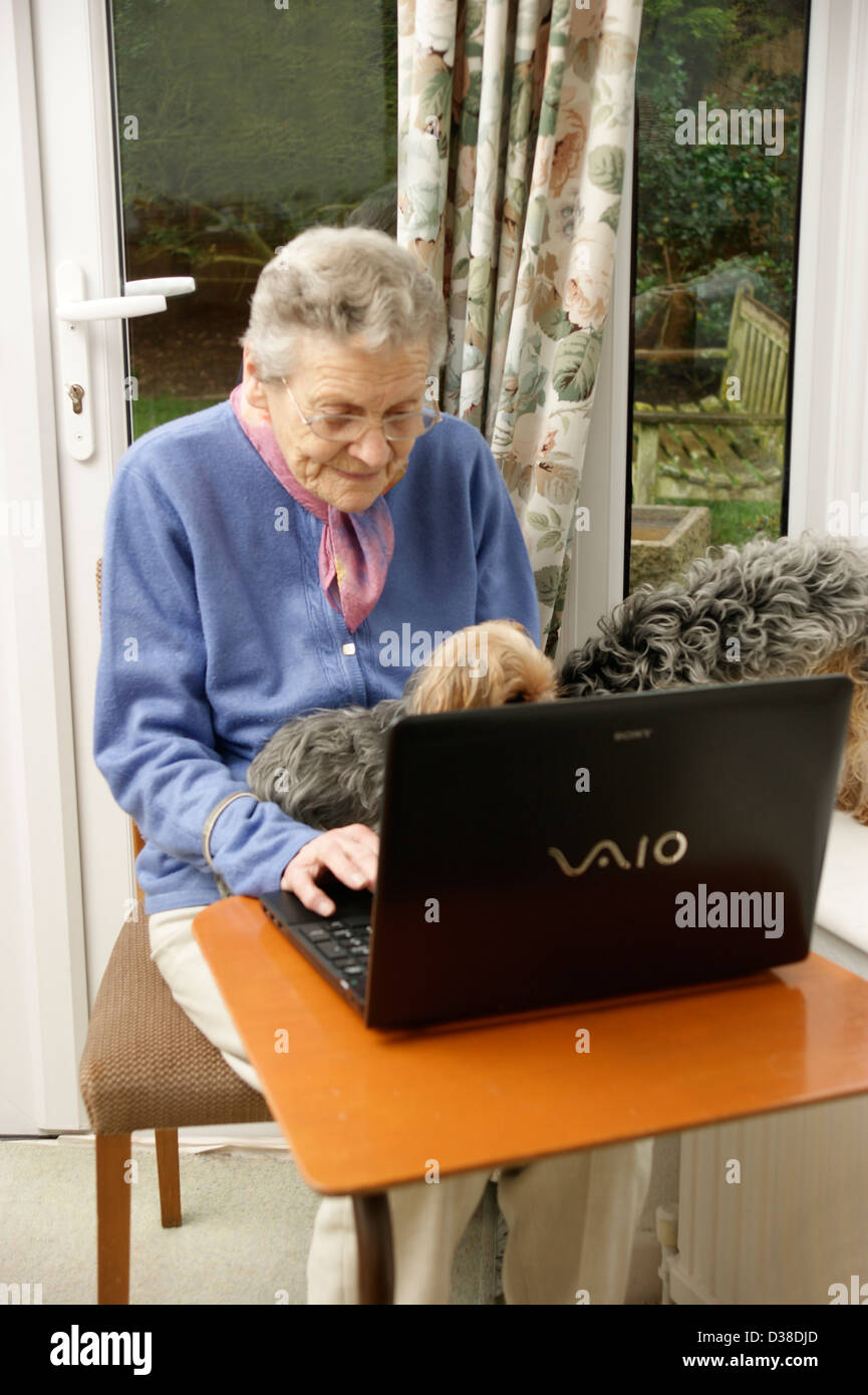 Femme âgée à l'aide d'un ordinateur portable (beaucoup de personnes âgées sont aujourd'hui l'informatique) avec l'aide de ses chiens de compagnie Banque D'Images