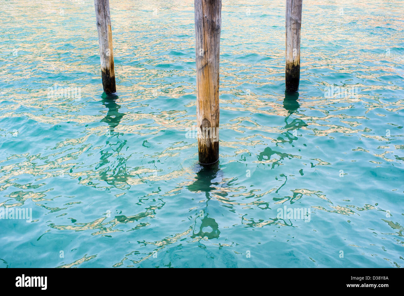 Bollards en bois et des réflexions dans le Grand Canal Venise Italie Banque D'Images