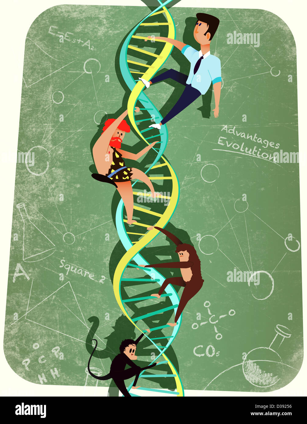 Brin d'ADN représentant l'évolution des êtres humains Banque D'Images