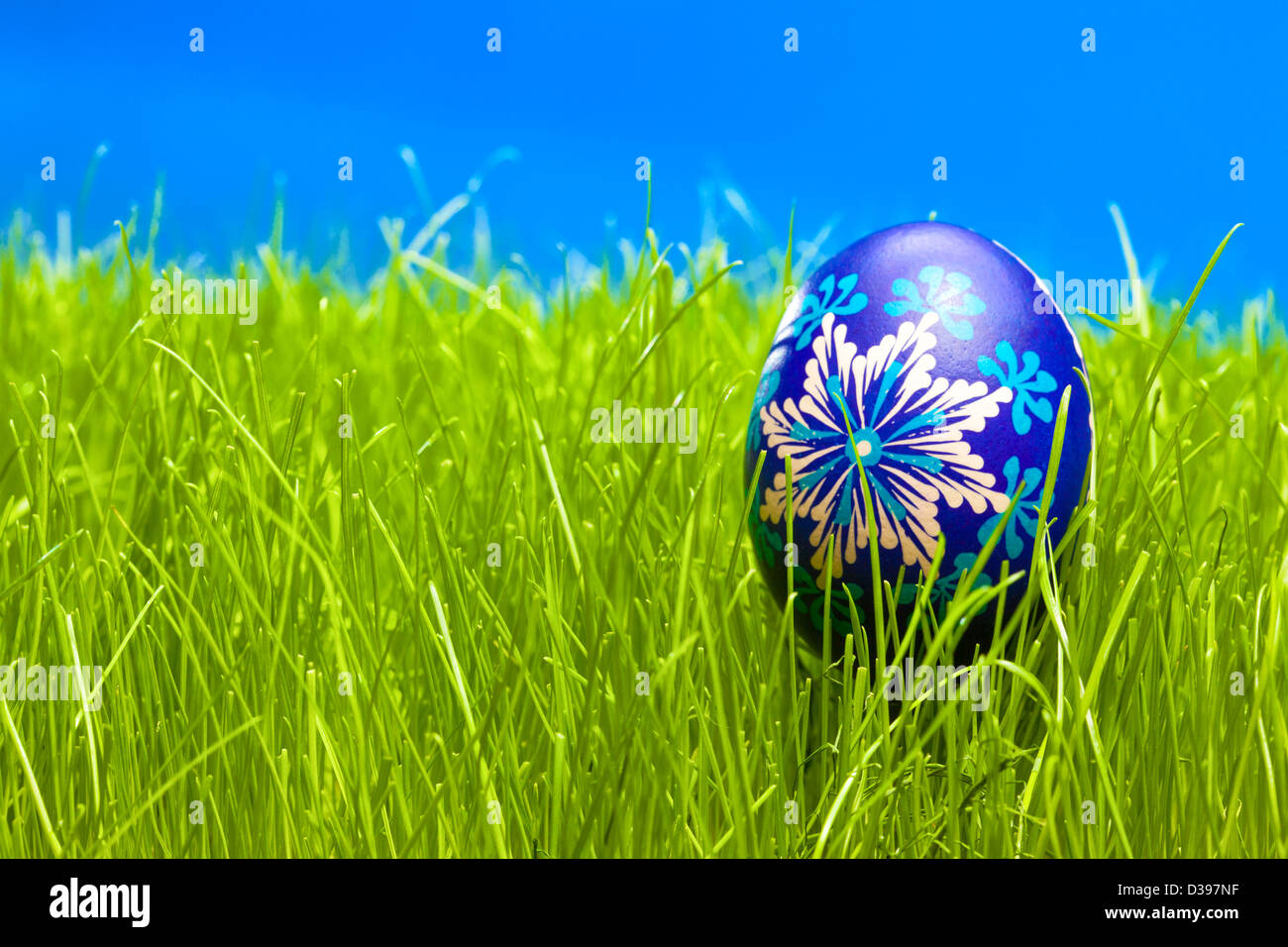 Oeufs de Pâques bleu sur l'herbe avec ciel bleu Banque D'Images