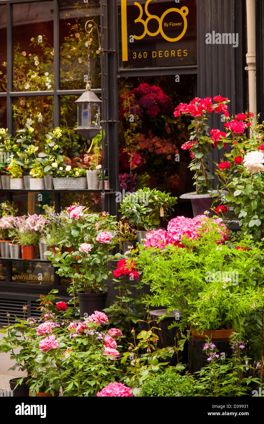Boutique de fleurs de trottoir à St Germain des Prés, Paris France Banque D'Images