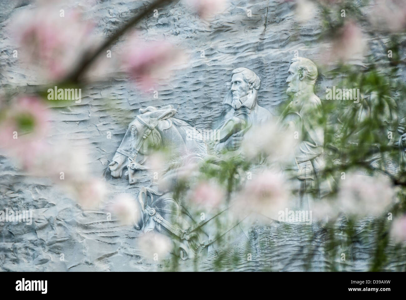 Stone Mountain carving vu à travers les fleurs de printemps à Stone Mountain Park près d'Atlanta, en Géorgie. USA. Banque D'Images