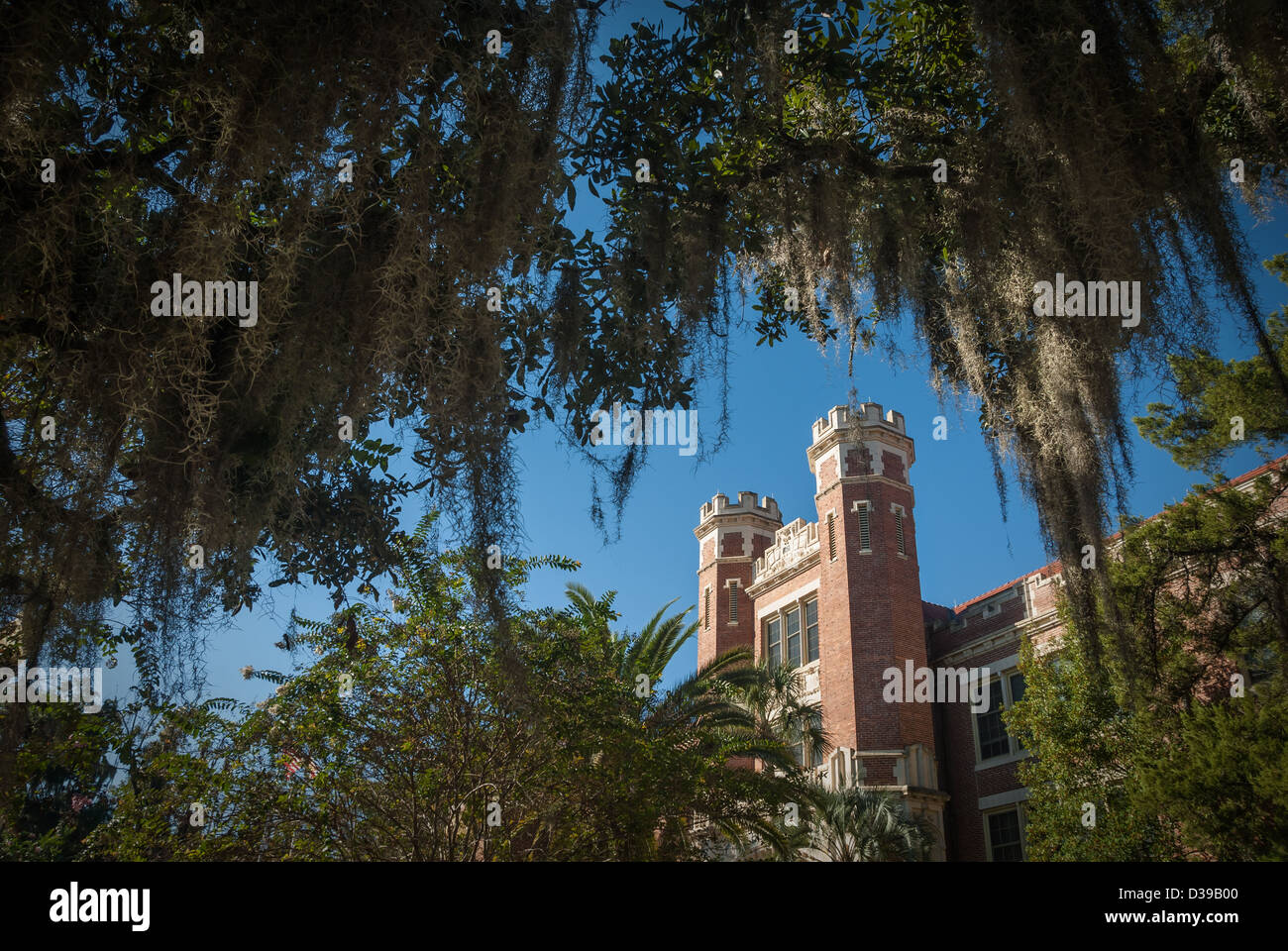 Le bâtiment Wescott de l'Université d'État de Floride, exposé au soleil du matin à travers le feuillage de Floride et la mousse espagnole à Tallahassee, Floride. (ÉTATS-UNIS) Banque D'Images