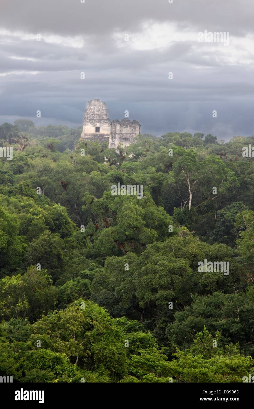 Une superbe vue sur le ruines de la cité maya de Tikal au Guatemala moderne de jour, l'Amérique centrale Banque D'Images