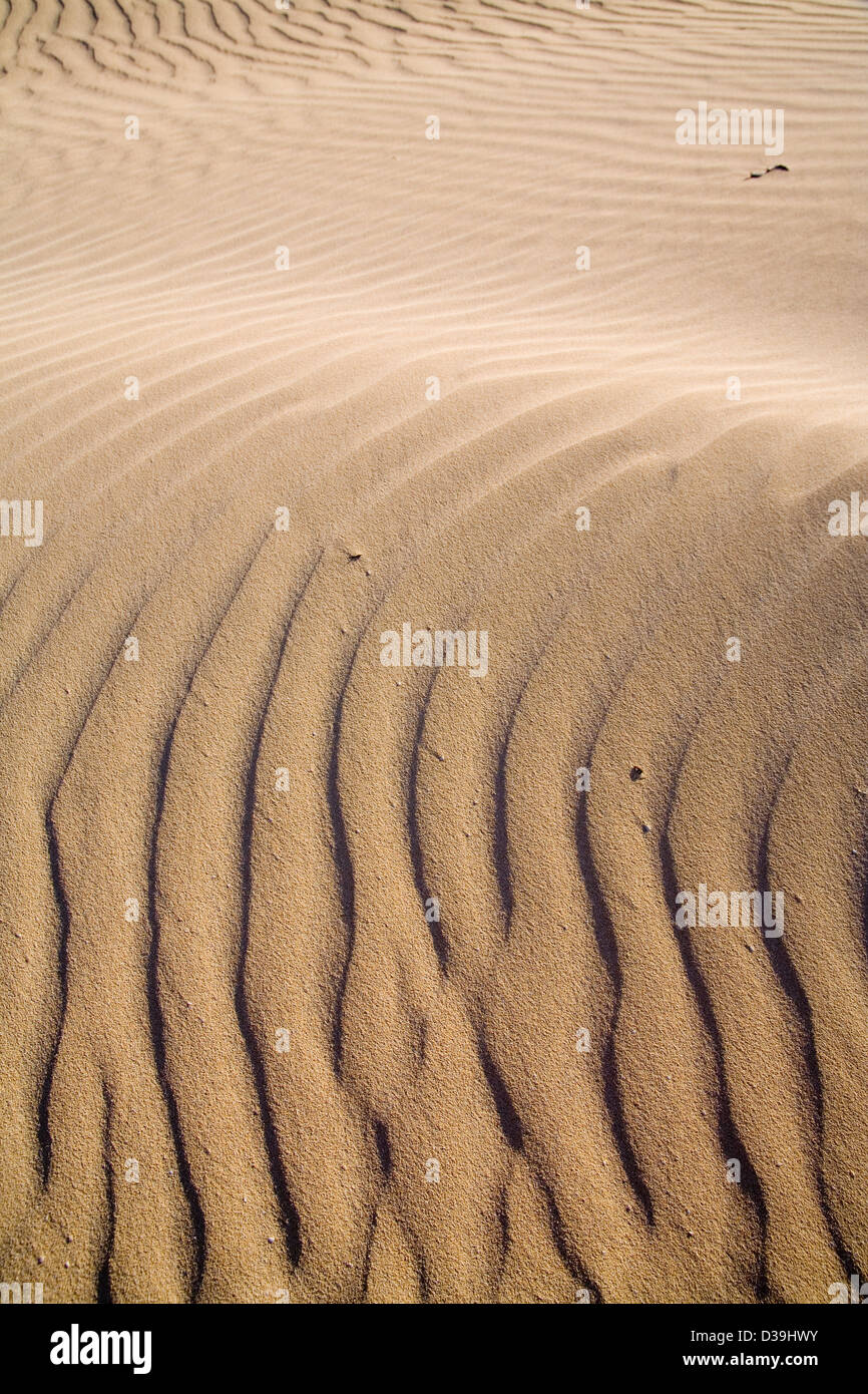 Fuerteventura, îles Canaries, Espagne, plage sable ciel bleu, Parque Natural de Las Dunas de Corralejo, l'île de Lobos à distance Banque D'Images