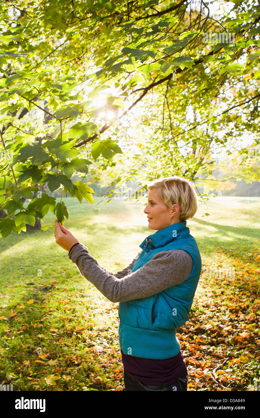 Woman admiring feuilles dans park Banque D'Images