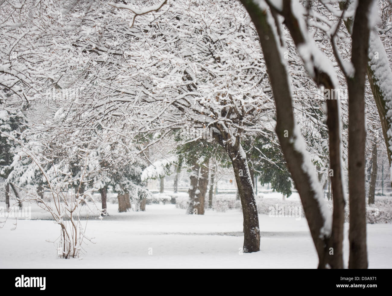 Les fortes chutes de neige et froid hiver afernoon Banque D'Images