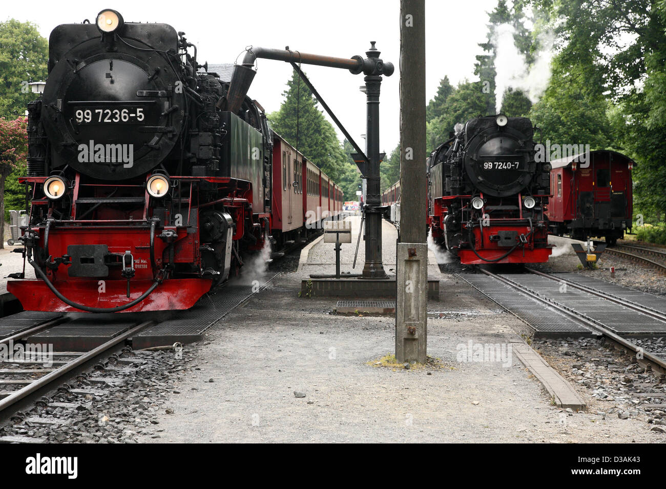 Drei Annen Hohne, Allemagne, la locomotive de Brockenbahn volume avec de l'eau Banque D'Images