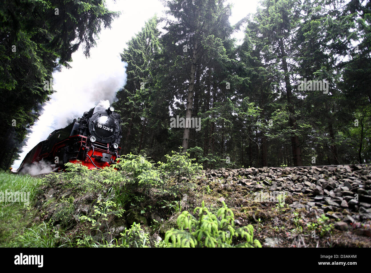 Schierke, Allemagne, le chemin de fer Brocken dans Elend Banque D'Images