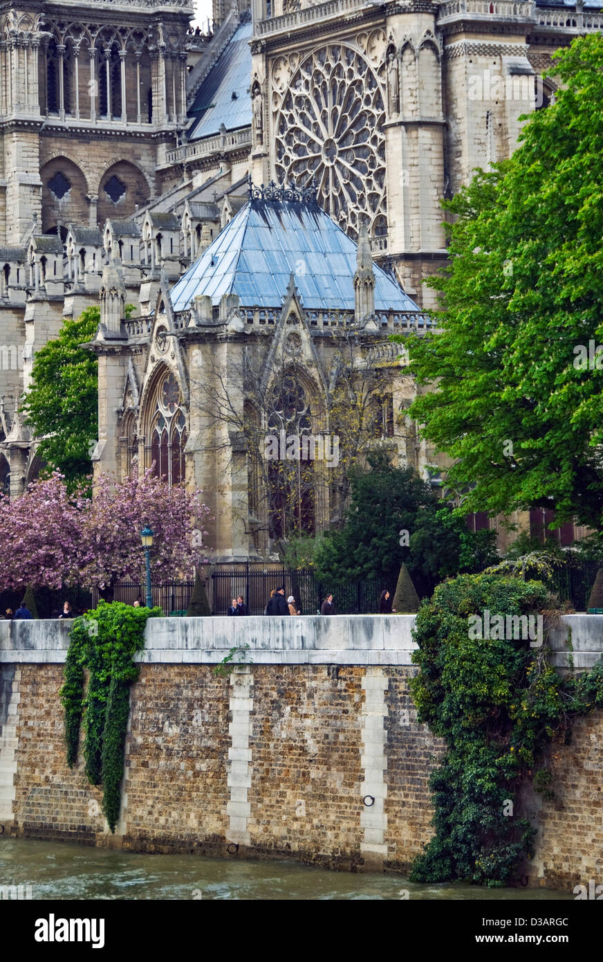 France Paris Notre Dame cathédrale gothique close-up église catholique Seine eau arbres floraison de l'île Banque D'Images