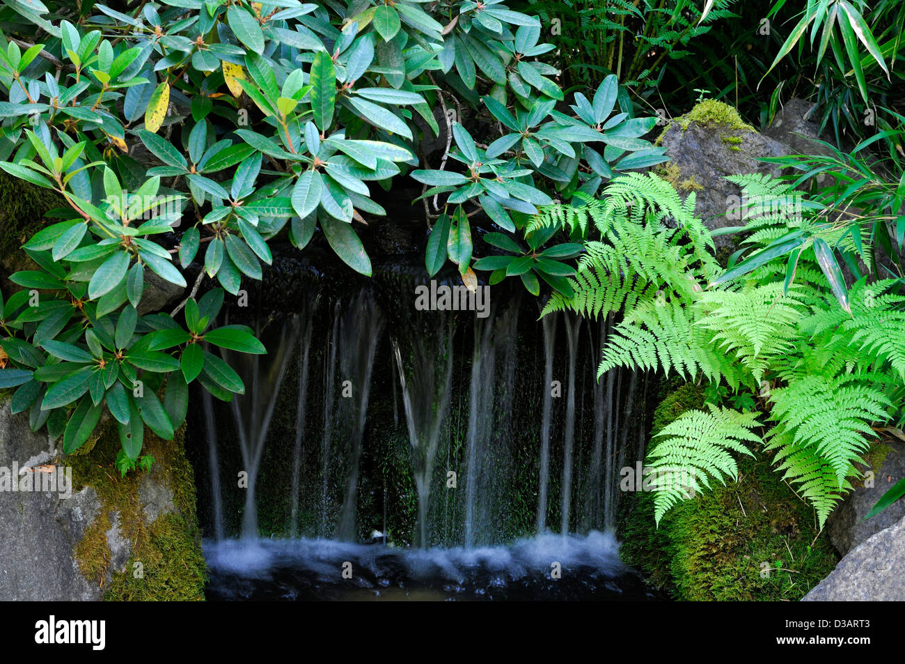 Jardin japonais de l'article salon les Jardins Butchart Brentwood Bay Victoria British Columbia Canada disposent de l'eau étang feng shui Banque D'Images