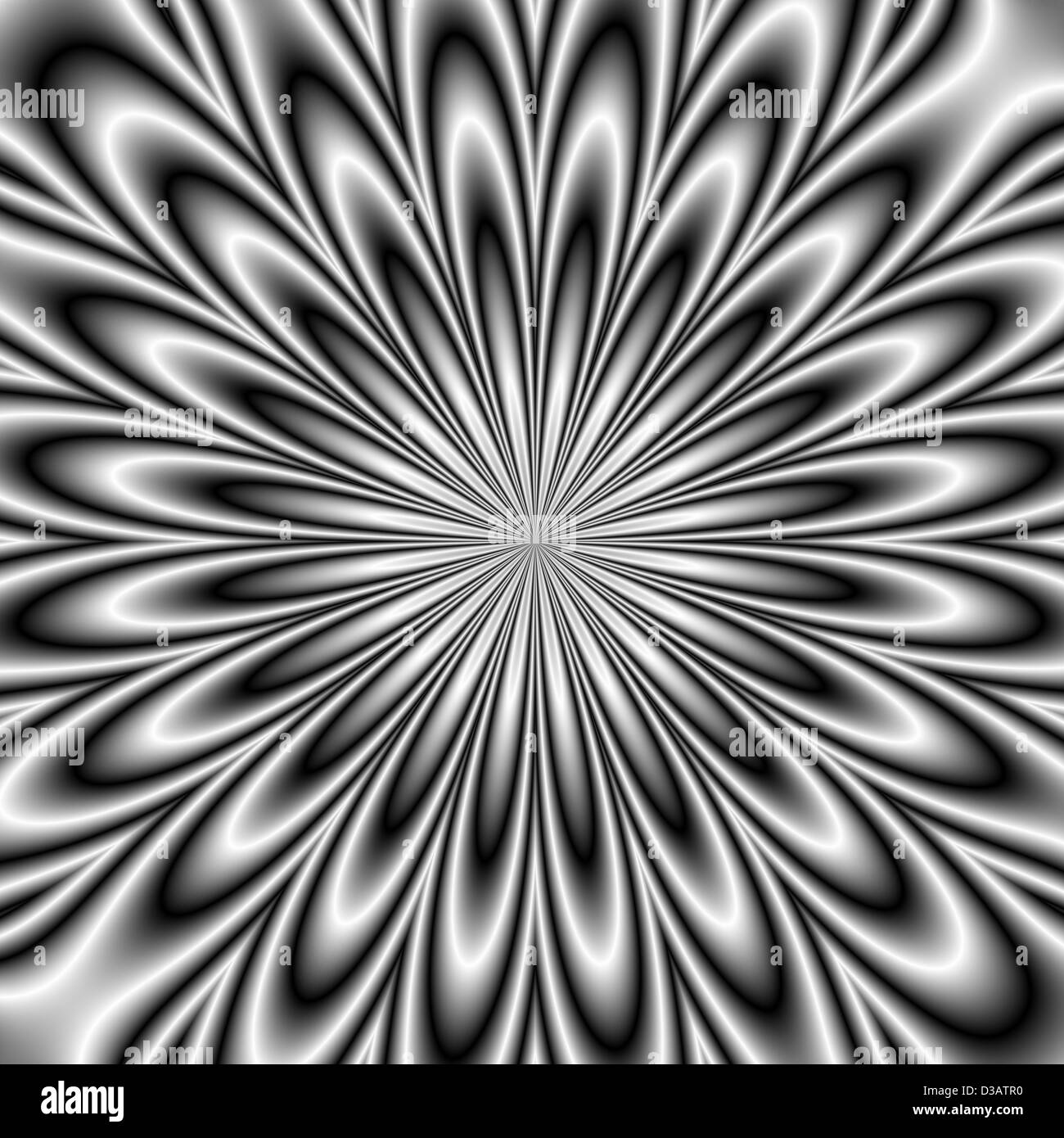Daisy monochrome Banque D'Images