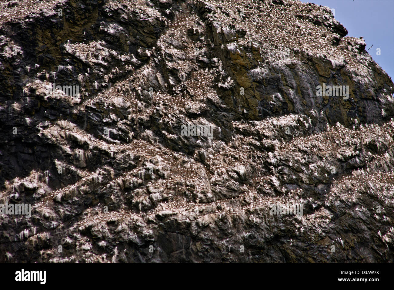 La mer le stacs du Stac Lee, Stac Un Armin et l'île de Boreray avec des colonies d'oiseaux de mer, Hilda dans l'archipel de St Kilda Banque D'Images