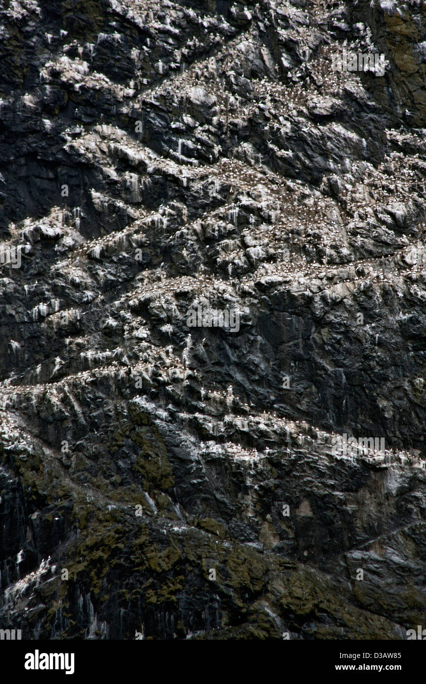 La mer le stacs du Stac Lee, Stac Un Armin et l'île de Boreray avec des colonies d'oiseaux de mer, Hilda dans l'archipel de St Kilda Banque D'Images