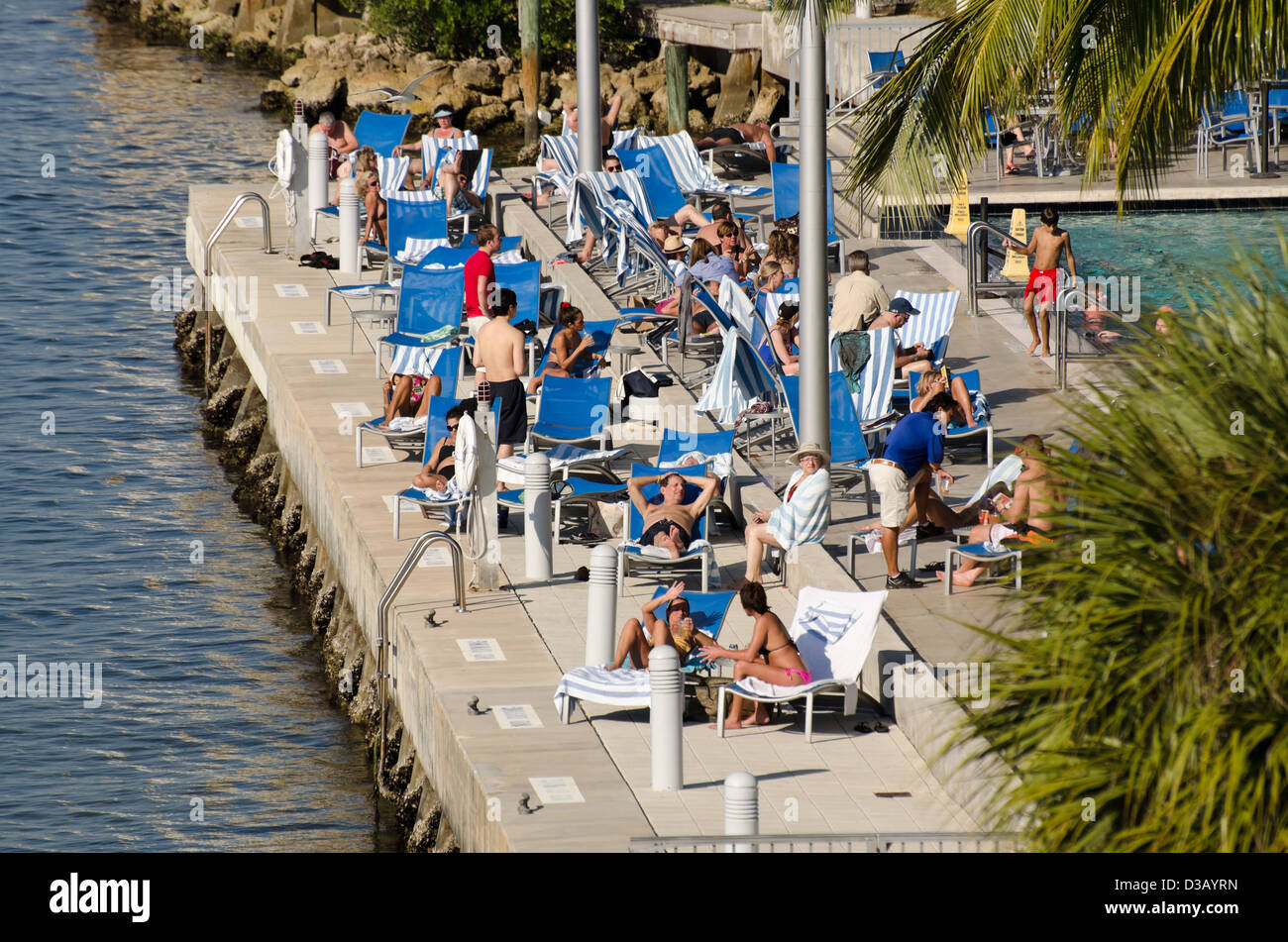 Promenade sous les palmiers