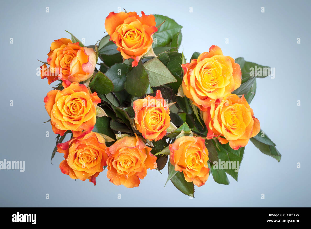 Bouquet de fleurs roses rouges et jaunes vue d'en haut au-dessus de fond bleu clair Banque D'Images Bouquet de fleurs roses rouges et jaunes vue d'en haut au-dessus de fond bleu clair Banque D'Images