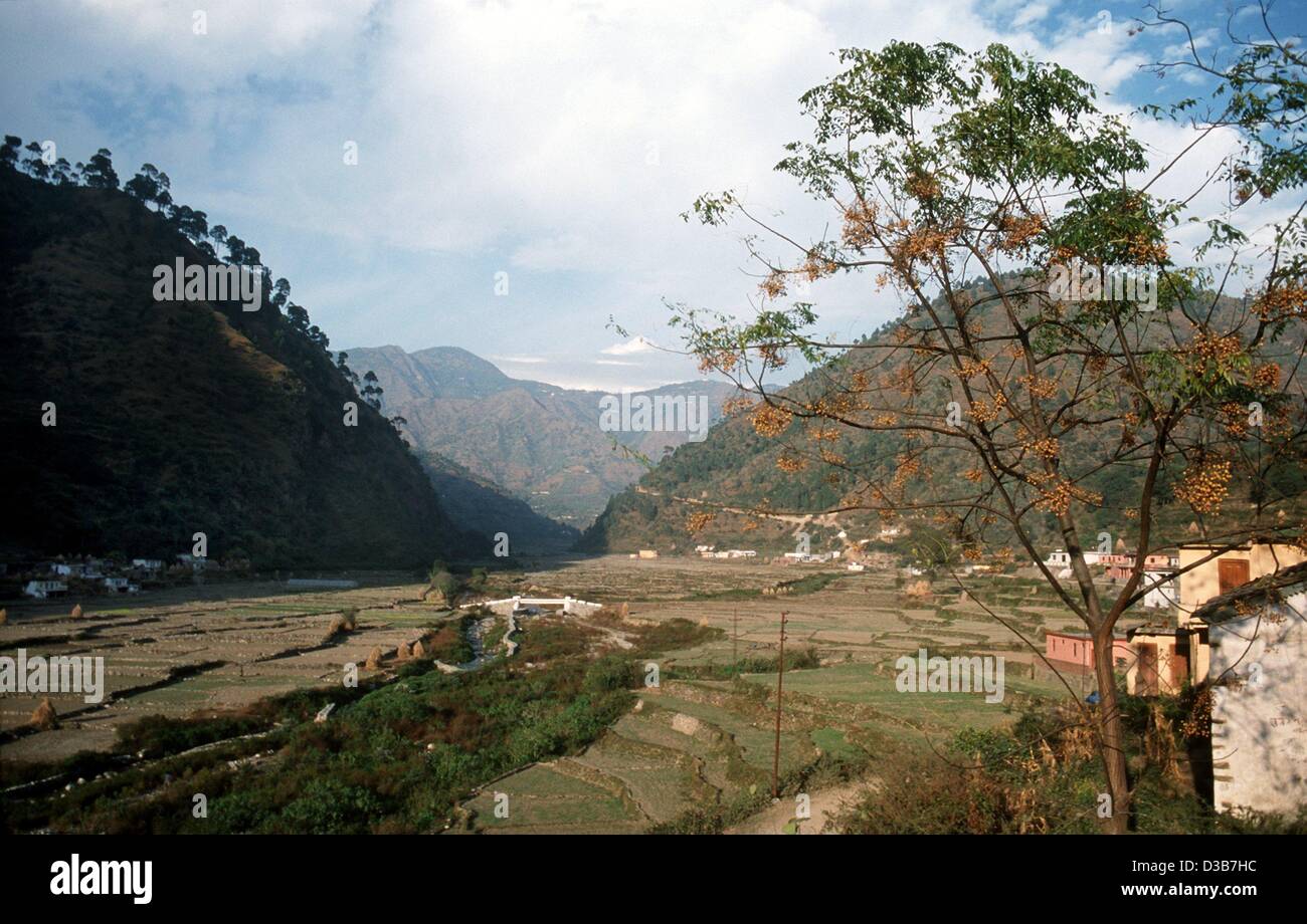 (Afp) - une vue sur les champs en terrasses près de la barrage de Tehri Garhwal, dans la région de l'Inde, 2001. Banque D'Images