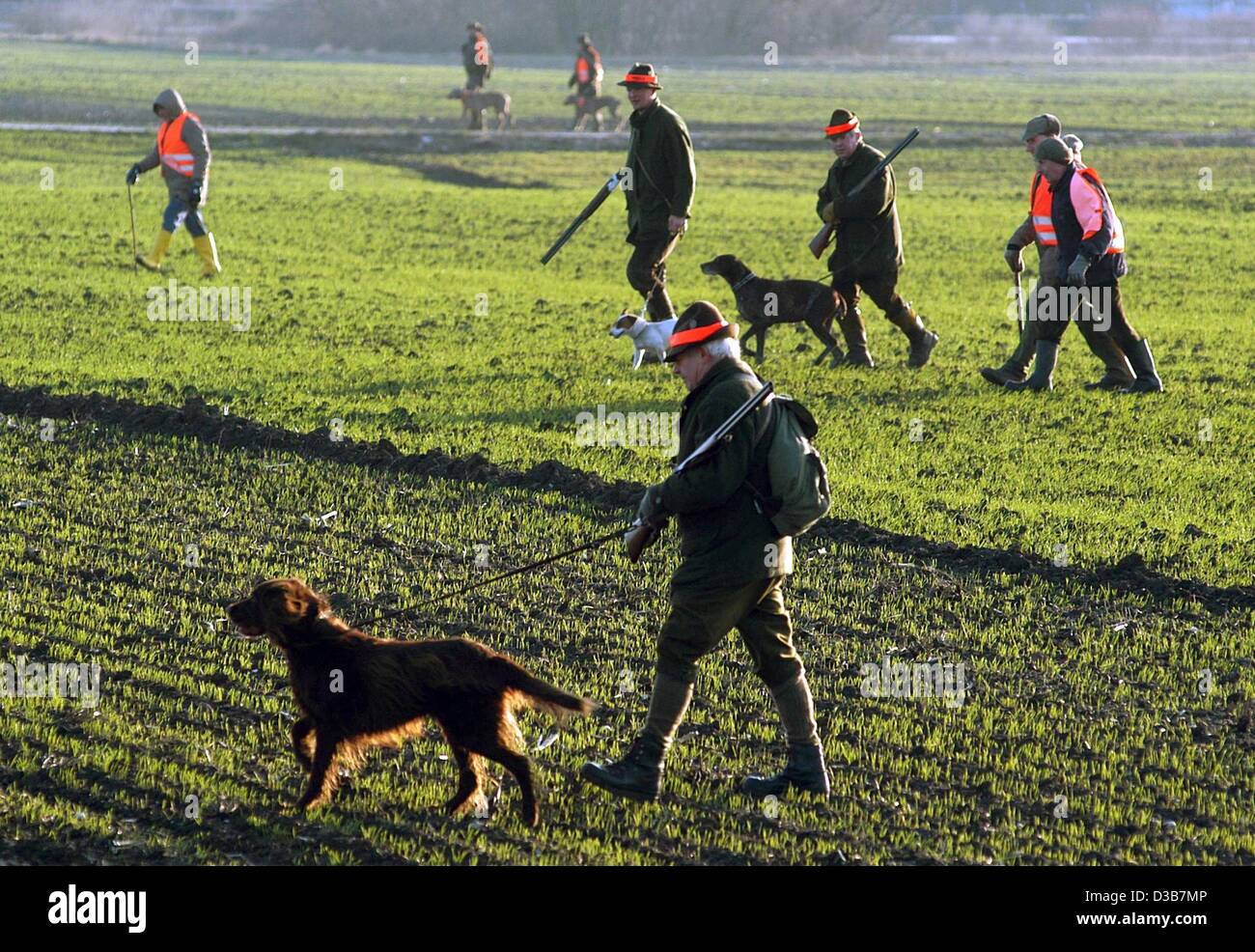 (Afp) - Les chasseurs et les chiens se promènent à travers un terrain au cours d'une battue, Rimbach, Allemagne, le 9 décembre 2002. Banque D'Images