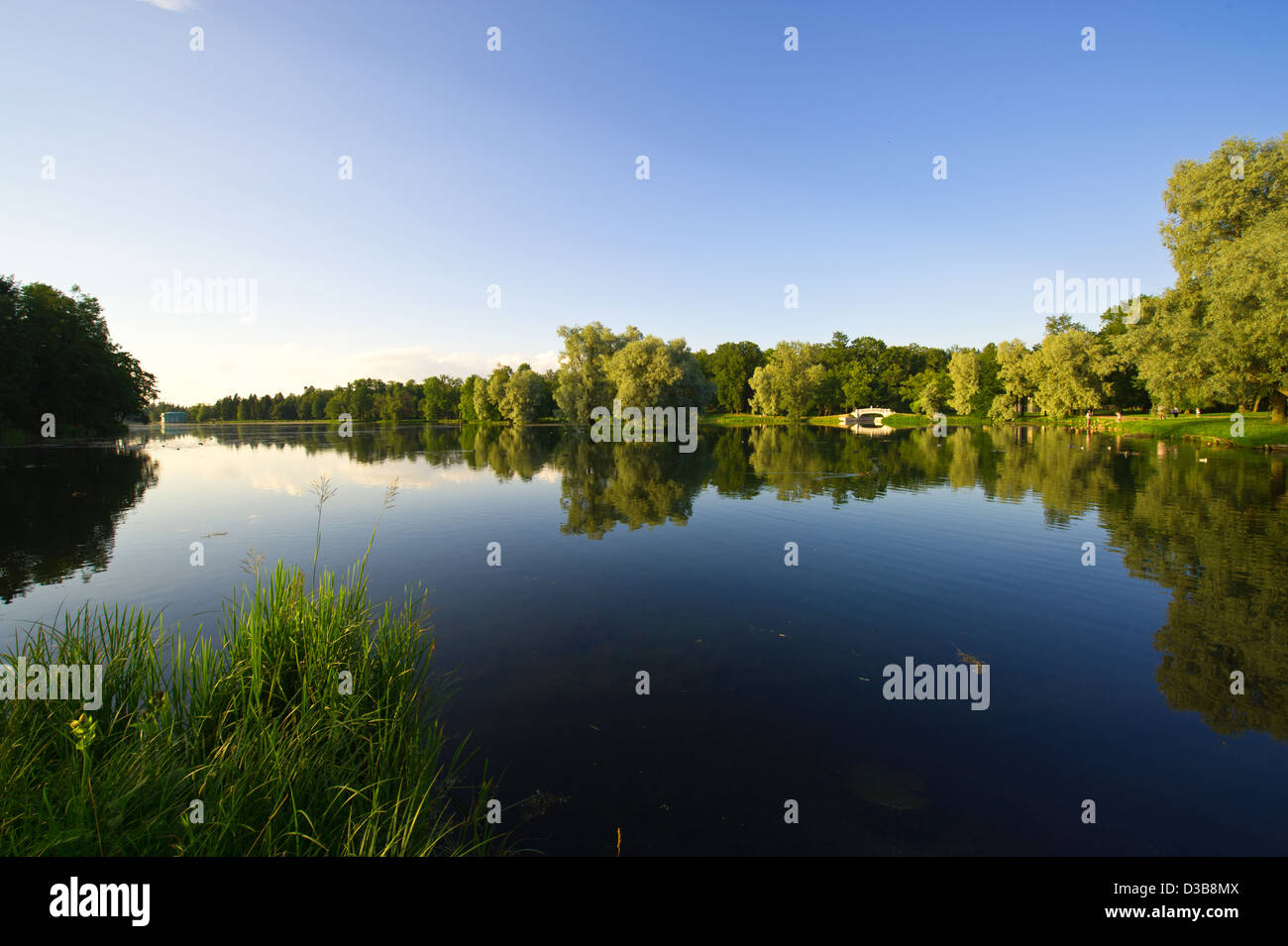 Belle baisse sur la rivière bois Banque D'Images