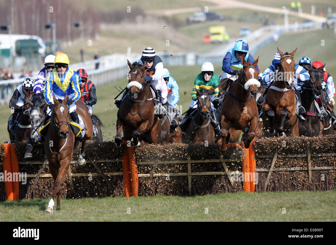 Jockeys aller leurs chevaux sur une clôture au cours de la Cheltenham Festival chaque année un événement de course de chevaux en Angleterre Banque D'Images