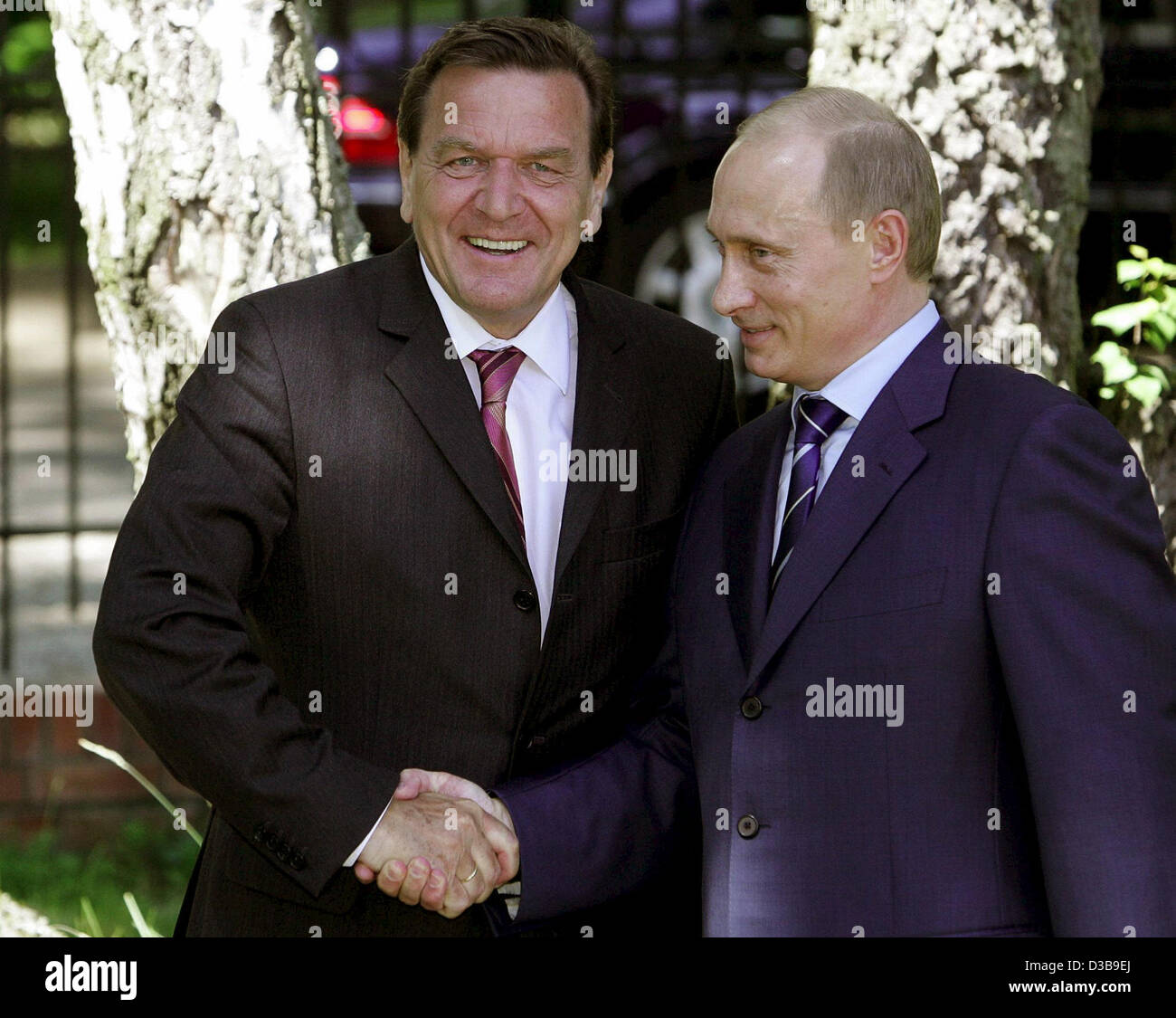 (Afp) - Le président russe Vladimir Poutine (R), serre la main avec le chancelier allemand Gerhard Schroeder à Svetlogorsk quelque 40 km de Kaliningrad, Russie, dimanche 3 juillet 2005. Les dirigeants de la Russie, l'Allemagne et la France sont ensemble pour discuter du programme nucléaire de l'Iran au sommet à Kaliningrad le dimanche, un K Banque D'Images