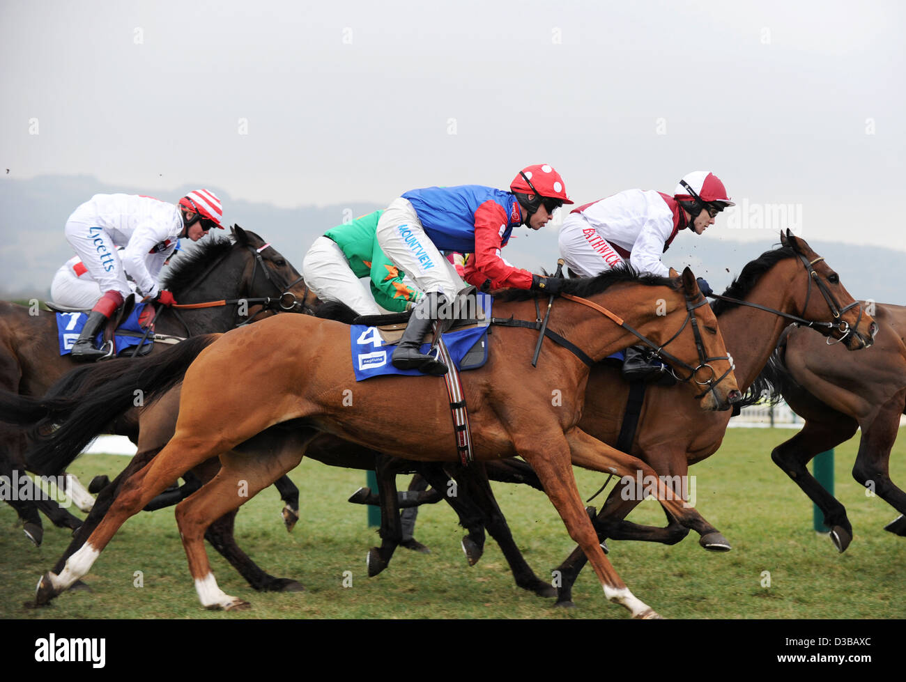 Les jockeys montent leurs chevaux pendant le Cheltenham Festival chaque année un événement de course de chevaux en Angleterre Banque D'Images
