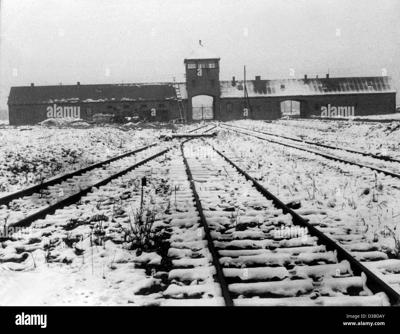 Afp Une Vue De La Voie Ferree Qui Mene A La Chambre A Gaz Du Camp De Concentration D Auschwitz A Environ 50 Km A L Ouest De Cracovie Pologne Non Date De
