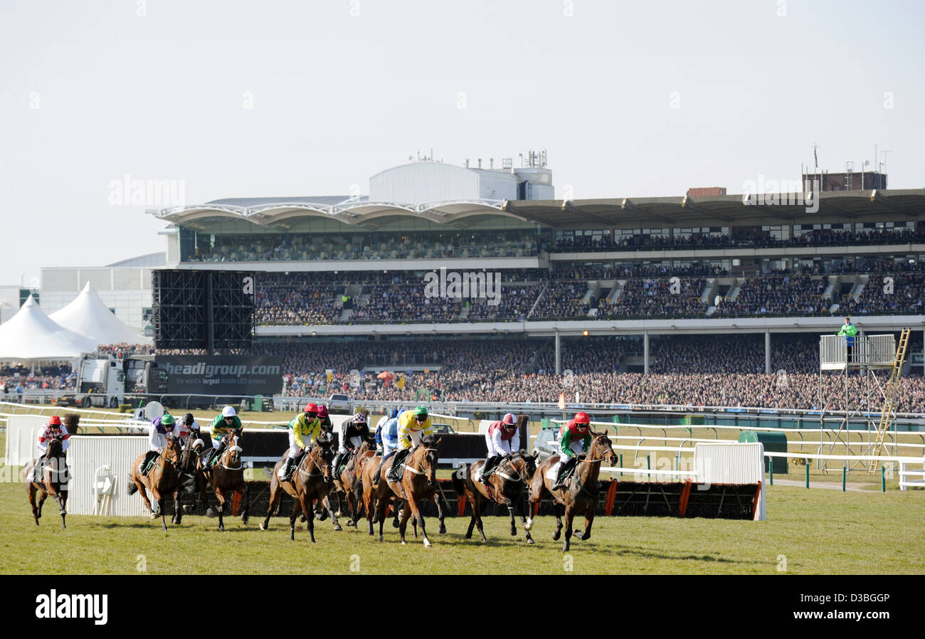 Les jockeys montent leurs chevaux à l'avant de la tribune au cours de la Cheltenham Festival chaque année un événement de course de chevaux en Angleterre Banque D'Images