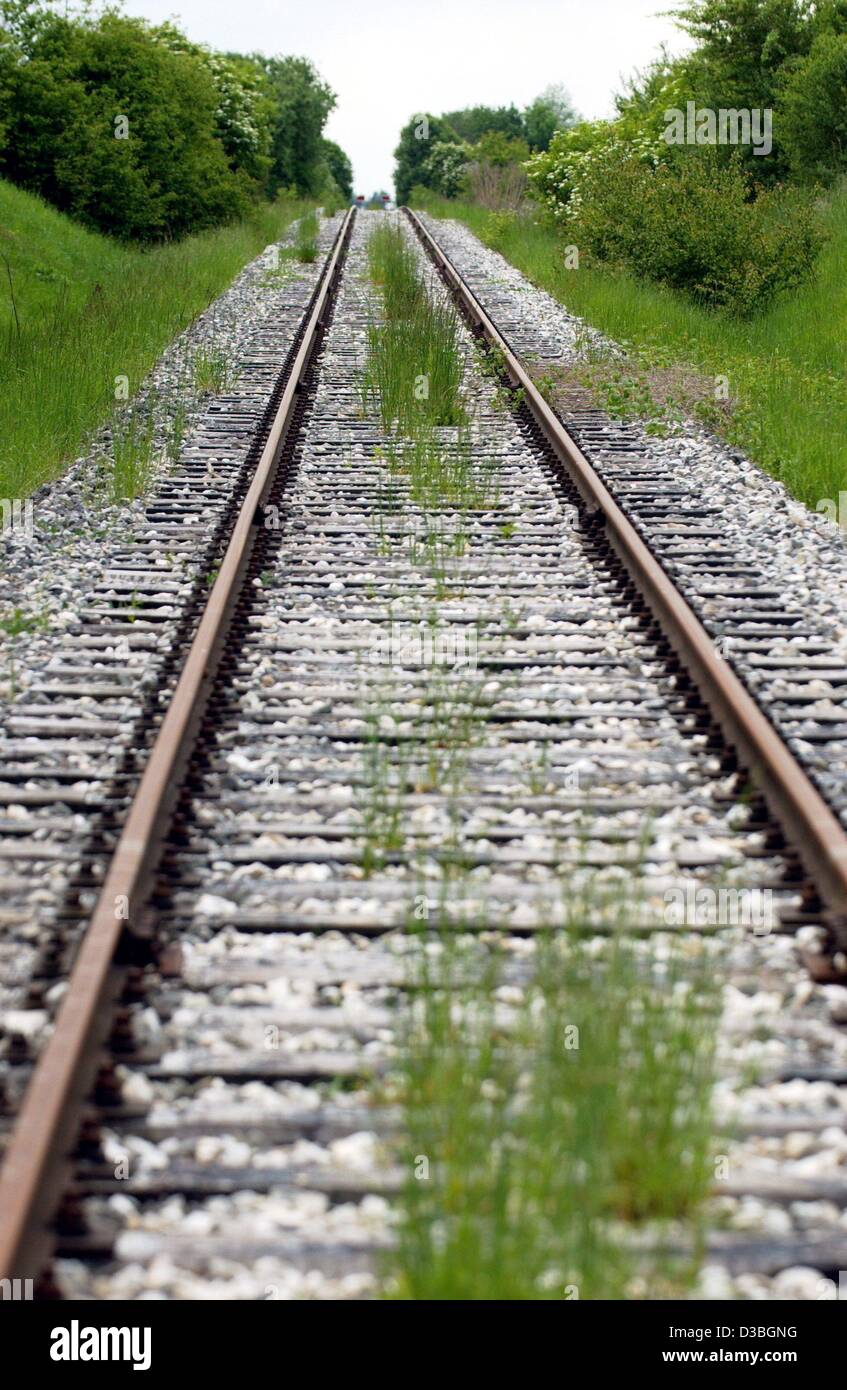 (Afp) - L'herbe est de plus en plus entre les traverses d'une ligne de chemin de fer fermée près de Guenzburg, Allemagne, 21 mai 2003. Banque D'Images