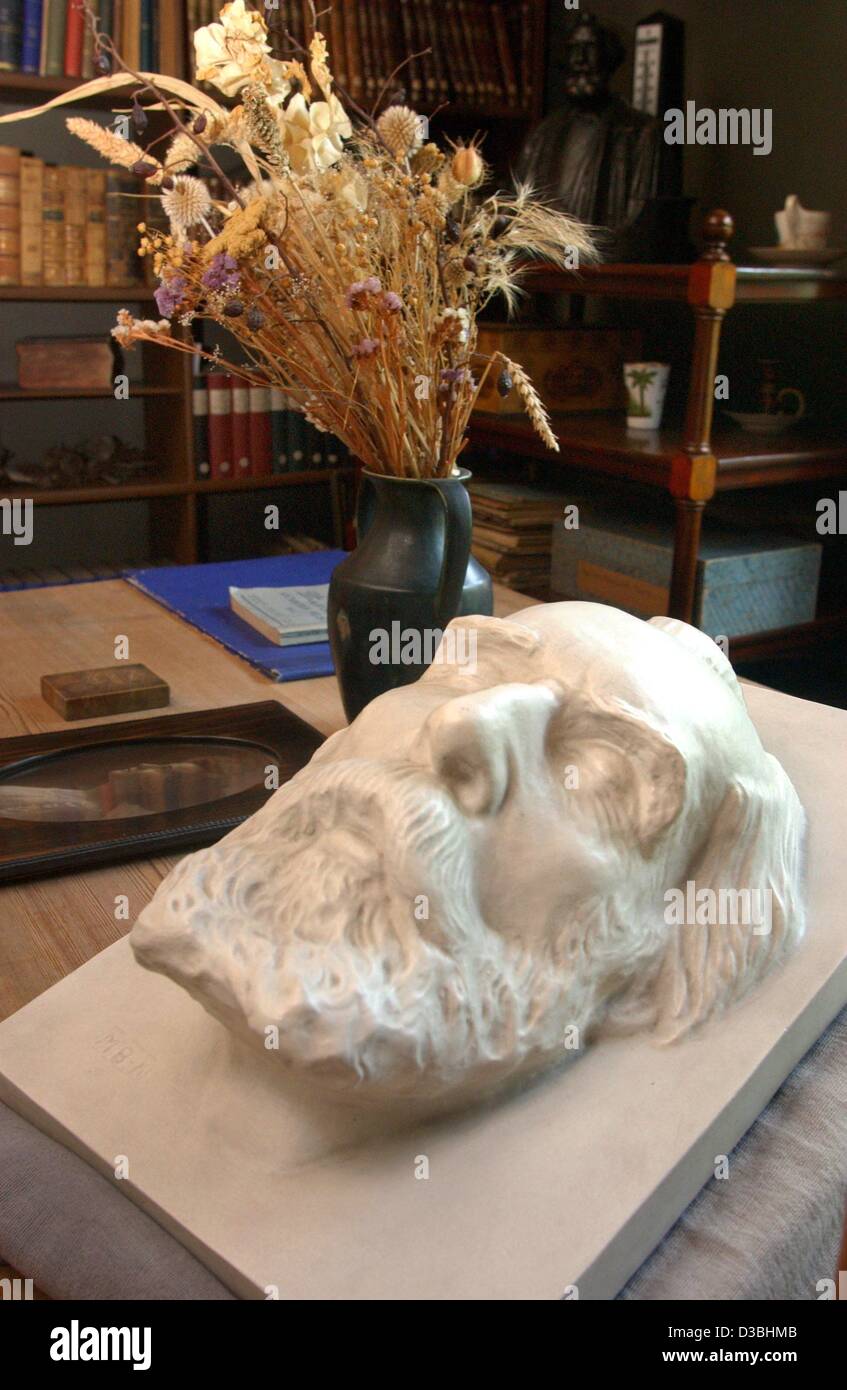 (Afp) - Le masque de mort du zoologiste allemand Ernst Haeckel (1834-1919) se trouve dans l'étude de l'origine préservé Ernst Haeckel house à l'Université de Jena, Allemagne de l'Est, 6 mai 2003. Haeckel a étudié et enseigné à l'université d'Iéna. Haeckel, qui est souvent qualifiée de "Darwin allemand Banque D'Images